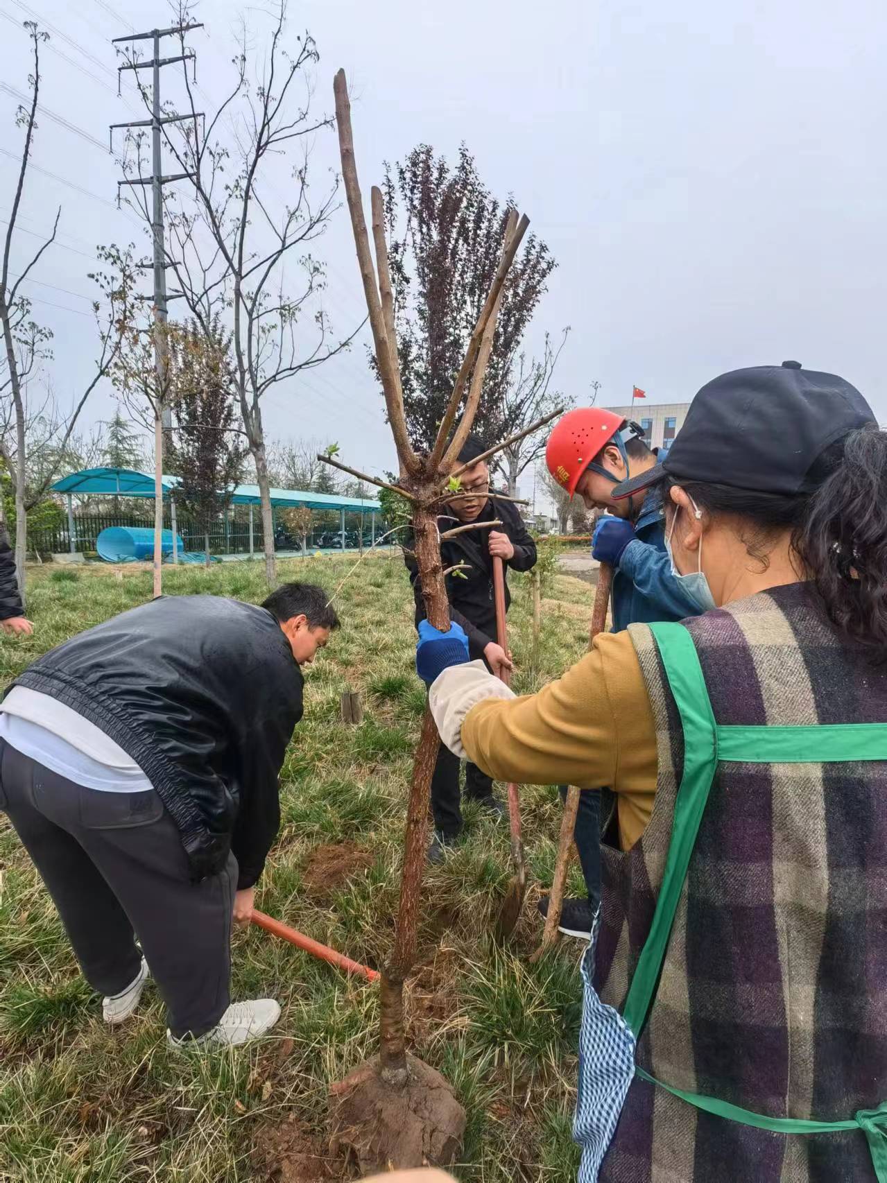 雨中的綠色行動：中安征信植樹活動